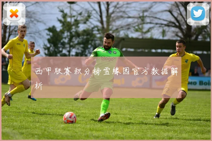 西甲联赛积分榜雪缘园官方数据解析