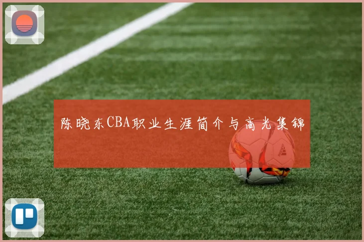 陈晓东CBA职业生涯简介与高光集锦